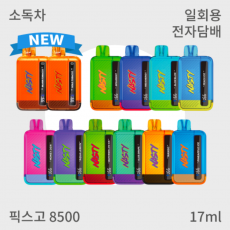 [네스티] 픽스고 8500 일회용 전자담배
